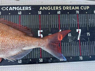 FullSizeRender