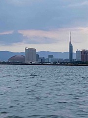 IMG_6555