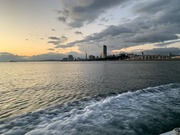 IMG_1450