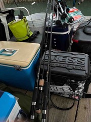 IMG_3447