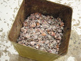 P5310030