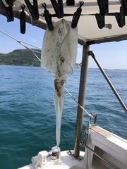 image6