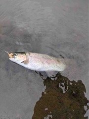 IMG_3505
