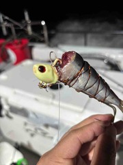IMG_5791