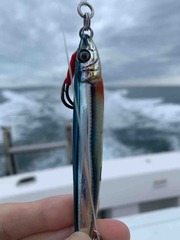 061813BD-D984-4C22-BCDA-B0E0EE3F6DD9