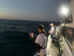 image4(4)