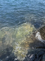 0FC82267-F00B-46A0-B518-49A5179938C5