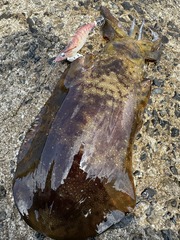 2653506C-CA74-4F32-80F7-D7D49440C3F9