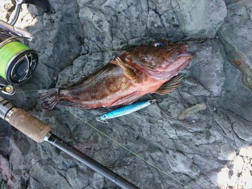 小川島釣行 こんな釣りは嫌だ 釣り具のまるきん糸島ファミリー 小川島釣行 こんな釣りは嫌だ 釣り具のまるきん糸島ファミリー