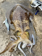 IMG_4156
