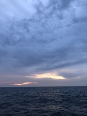 E42C3BC2-9236-48D0-9EB7-1F62F1479F8A