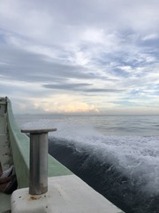 IMG_4487