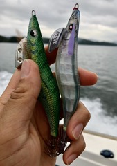 0C9AEF6A-E8A9-4FCC-BD1C-BEF76948BA9F