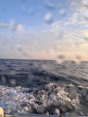 IMG_1992