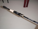 P4250050