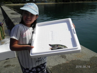 SANY0035