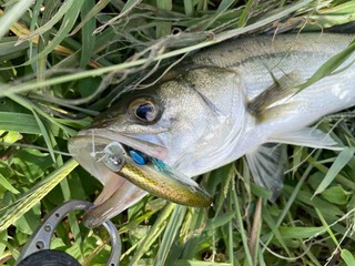 IMG_1358