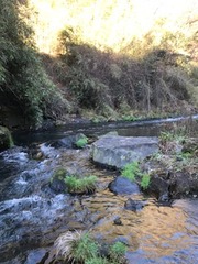 image8