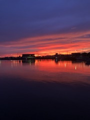 IMG_4478