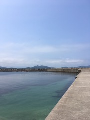 の１２