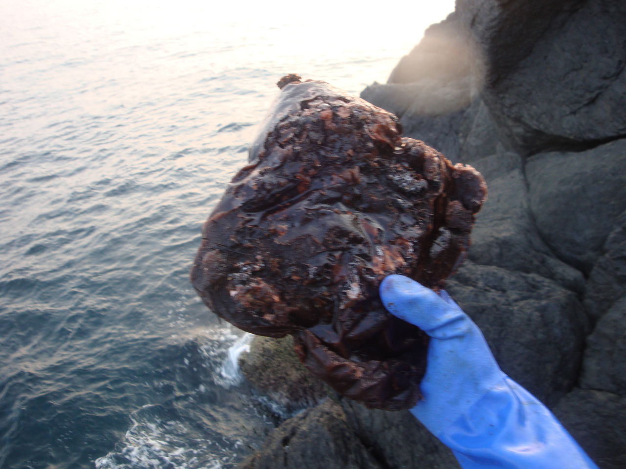 石鯛釣で生月へ 釣り具のまるきん糸島ファミリー 石鯛釣で生月へ 釣り具のまるきん糸島ファミリー
