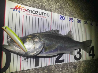 FullSizeRender