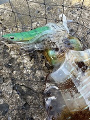 8801D72A-50FE-4D16-A813-4E0A3BEA8FB5