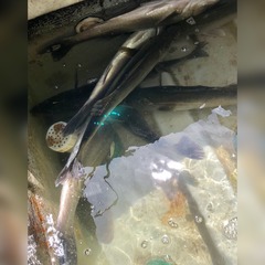 7724D030-41ED-4E92-A98B-07E360C49BE0