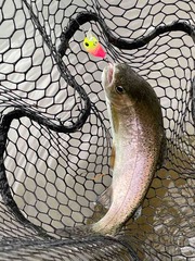 IMG_3485