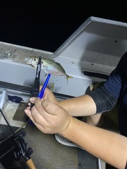 IMG_3732