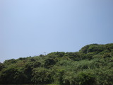 渕野・椋露地 013