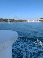 IMG_3796