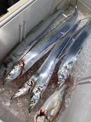 4C56A6C4-5F7E-4AAB-8197-6DBDAB6597D3