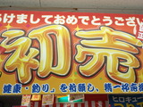 PC310019