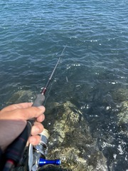 61EB3D05-4C5F-4FDC-97A0-850C71A77680