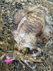 17C53922-B8E5-4625-A164-474BD066B375