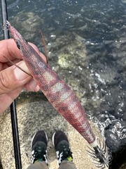 2A7DA9C2-80EE-4DEA-94D3-148A2252FC6F