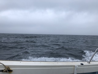 C2E88E11-C536-407E-991C-AE11B6FA0A9B