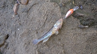 IMG_20180814_162614