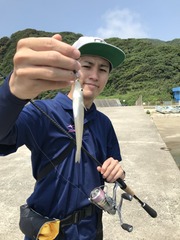 の１１