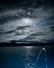 IMG_5911