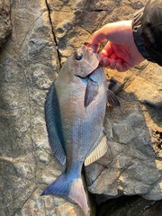 IMG_2827