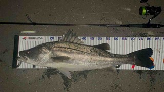 FullSizeRender