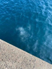 IMG_6104