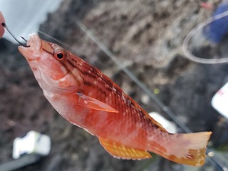 20250228_070038