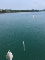 く6