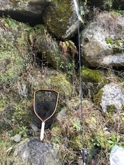 image9
