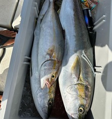 Screenshot_20230926-070916_Instagram