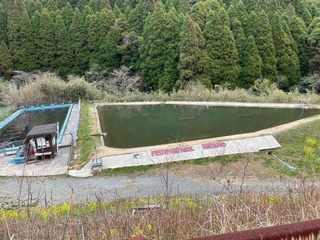 IMG_4342