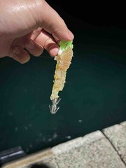 IMG_8893